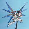 MG 1/100 STRIKE FREEDOM GUNDAM Model Kit