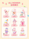 Momo Bunny: Anniversary Series Blind Box (Single)