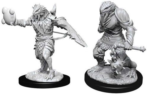 D&D Nolzur's Marvelous Unpainted Miniatures: Male Dragonborn Paladin