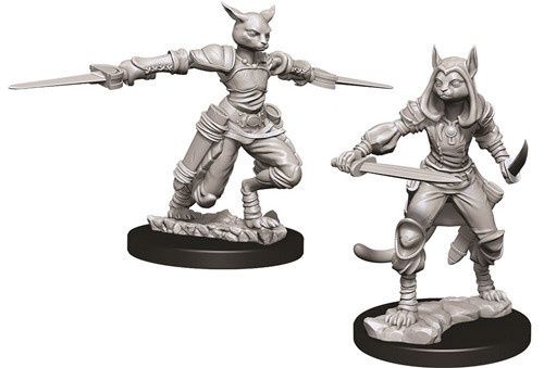 Dungeons & Dragons Nolzurs Marvelous Tabaxi Rogue Female