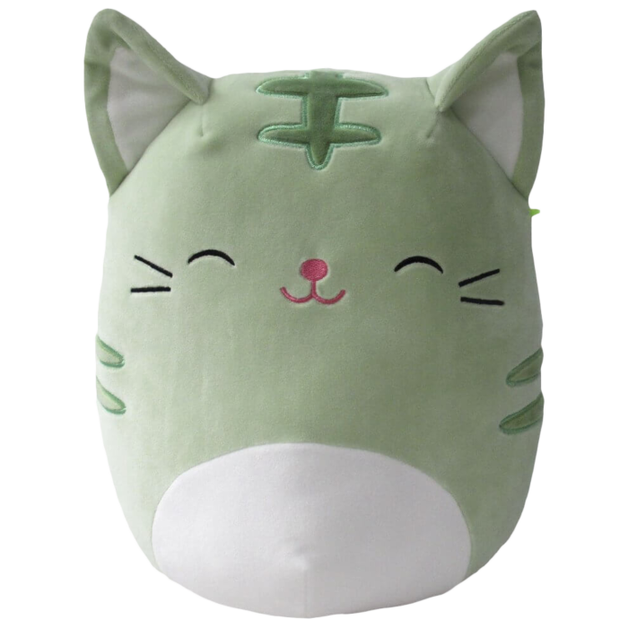 Squishmallows - Chase the Cat 12