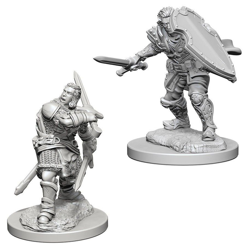 Dungeons & Dragons Nolzur's Marvelous Miniatures Human Male Paladin