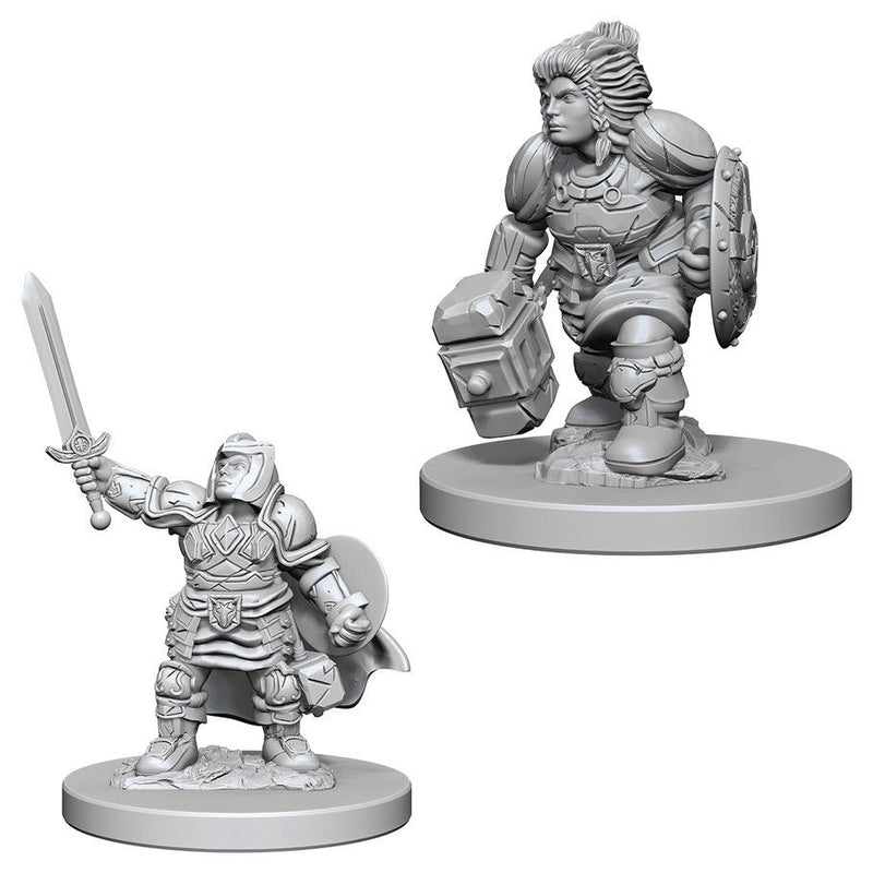 Dungeons and Dragons Nolzurs Marvelous Dwarf Female Paladin