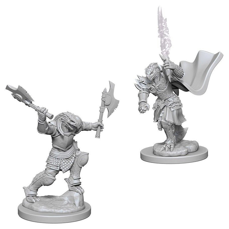 Dungeons & Dragons Nolzurs Marvelous Dragonborn Fighter Female