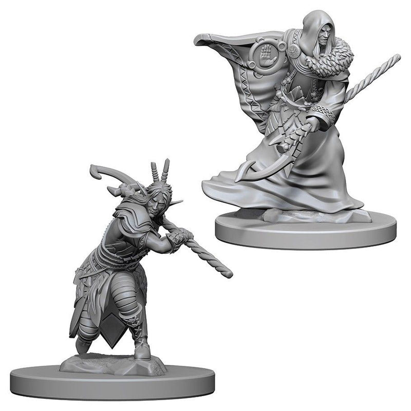 Dungeons & Dragons Nolzurs Marvelous Elf Druid Male