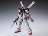 MG 1/100 Crossbone Gundam X-1 Ver.Ka Model Kit