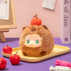 Lucky Emma: RUA RUA ZOO Vinyl Face Series Blind Box (Single)