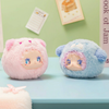 Lucky Emma: RUA RUA ZOO Vinyl Face Series Blind Box (Single)