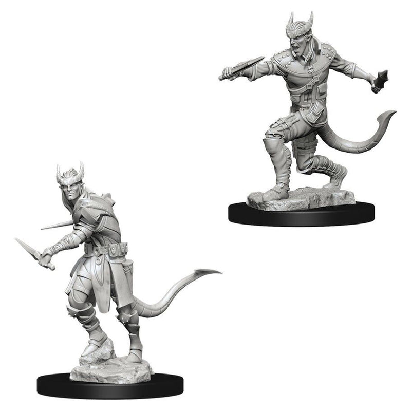 Dungeons & Dragons Nolzurs Marvelous Male Tiefling Rogue