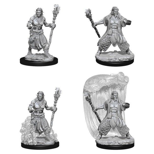 Dungeons & Dragons Nolzurs Marvelous Male Water Genasi Druid