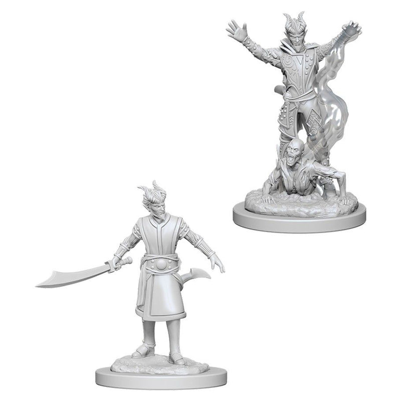 D&D Nolzurs Marvelous Miniatures Male Tiefling Warlock