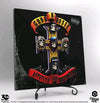 Guns N’ Roses - Appetite for Destruction 3D Vinyl