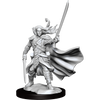 D&D Frameworks Elf Ranger Male