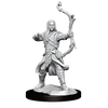 D&D Frameworks Elf Ranger Male