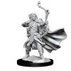 D&D Frameworks Elf Ranger Male