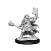 D&D Frameworks Dwarf Cleric Female