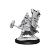 D&D Frameworks Dwarf Cleric Female