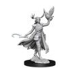 D&D Frameworks Human Druid Female