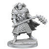 D&D Frameworks Human Male Fighter