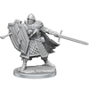 D&D Frameworks Human Male Fighter