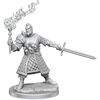 D&D Frameworks Human Male Fighter