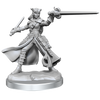 D&D Frameworks Tiefling Rogue Female