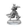 D&D Frameworks Tiefling Rogue Female