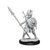 D&D Frameworks Human Fighter Female