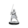 D&D Frameworks Human Fighter Female