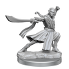D&D Frameworks Elf Monk Male