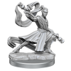 D&D Frameworks Elf Monk Male