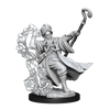D&D Frameworks Human Wizard Male