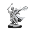 D&D Frameworks Human Wizard Male