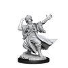 D&D Frameworks Human Wizard Male