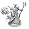 D&D Frameworks Tiefling Warlock Male