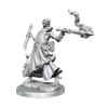 D&D Frameworks Dragonborn Sorcerer Female