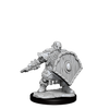 D&D Frameworks Dwarf Fighter Male