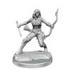 D&D Frameworks Human Rogue Female