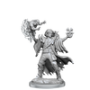 D&D Frameworks Human Warlock Male