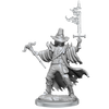 D&D Frameworks Human Warlock Male