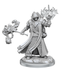 D&D Frameworks Human Cleric Male