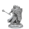 D&D Frameworks Human Cleric Male