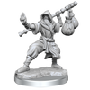 D&D Frameworks Human Monk Male