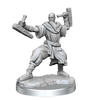D&D Frameworks Human Monk Male
