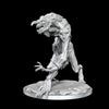 D&D Frameworks Troll
