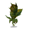 D&D Nolzurs Marvelous Miniatures Adult Green Dragon