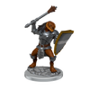 D&D Nolzurs Marvelous Miniatures Dragonborn Clerics