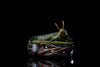 Loki - Alligator Loki 1:10 Scale Statue