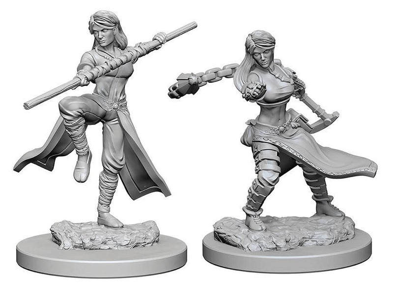 Dungeons & Dragons Nolzur's Marvelous Miniatures Human Female Monk