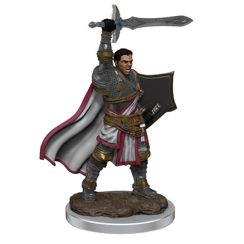 Dungeons & Dragons - Icons of the Realms Premium Male Human Paladin